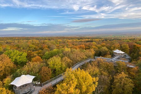 Baumkronenpfad Vogelperspektive Herbst