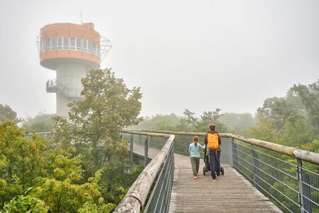 Familie auf dem Baumkronenpfad im Nationalpark Hainich im Nebel. Im Hintergrund der Aussichtsturm.