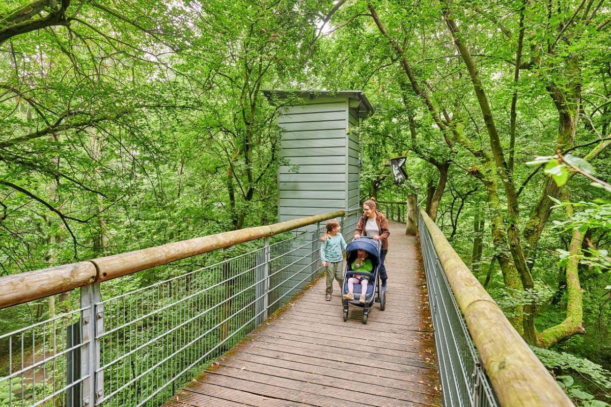 Familie mit Kinderwagen auf dem barrierefreien Baumkronenpfad im Nationalpark Hainich.